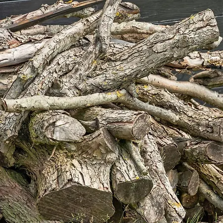 Holiday home Rether - 400m From The Sea By Interhome Nordborg